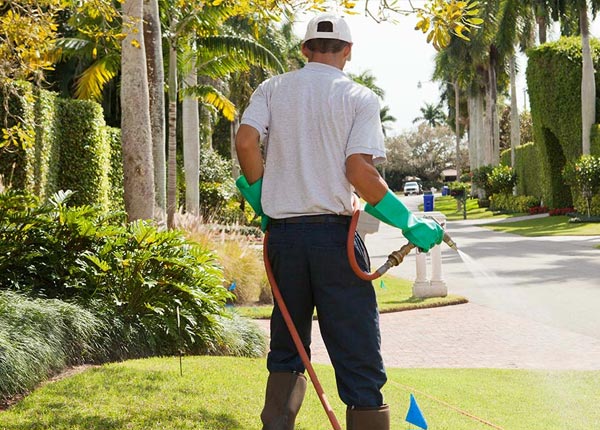 About Birch Tree MO Pest Control
